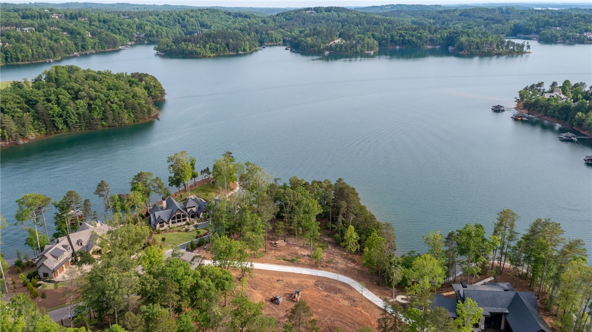 473 Peninsula Ridge Sunset, SC 29685 - Photo 4 of 9