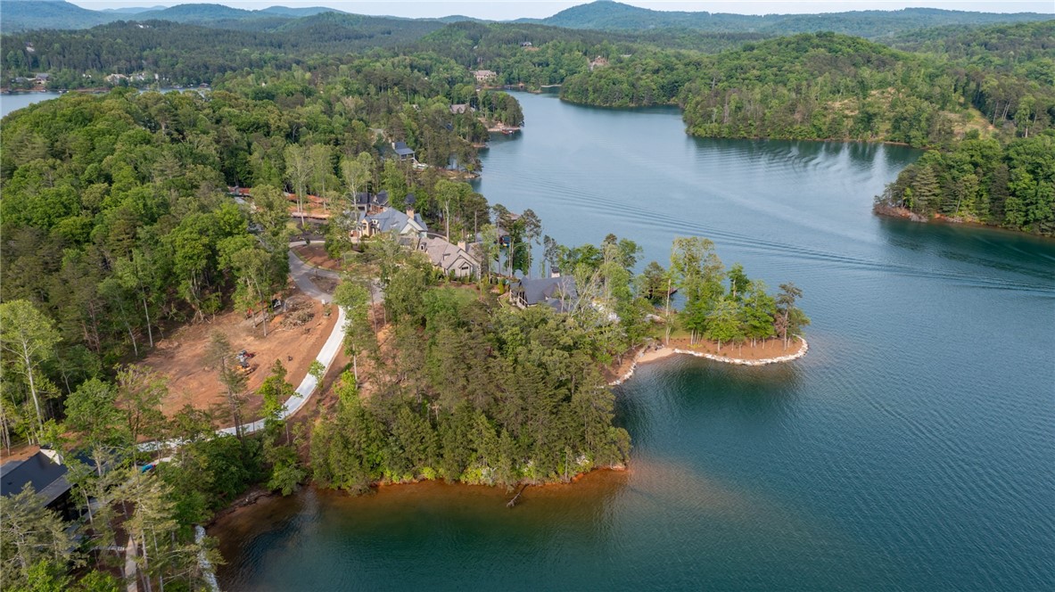 473 Peninsula Ridge Sunset, SC 29685 - Photo 5 of 9