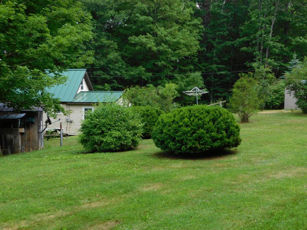 74 Trail Road Putney, VT 05346 - Photo 3 of 14