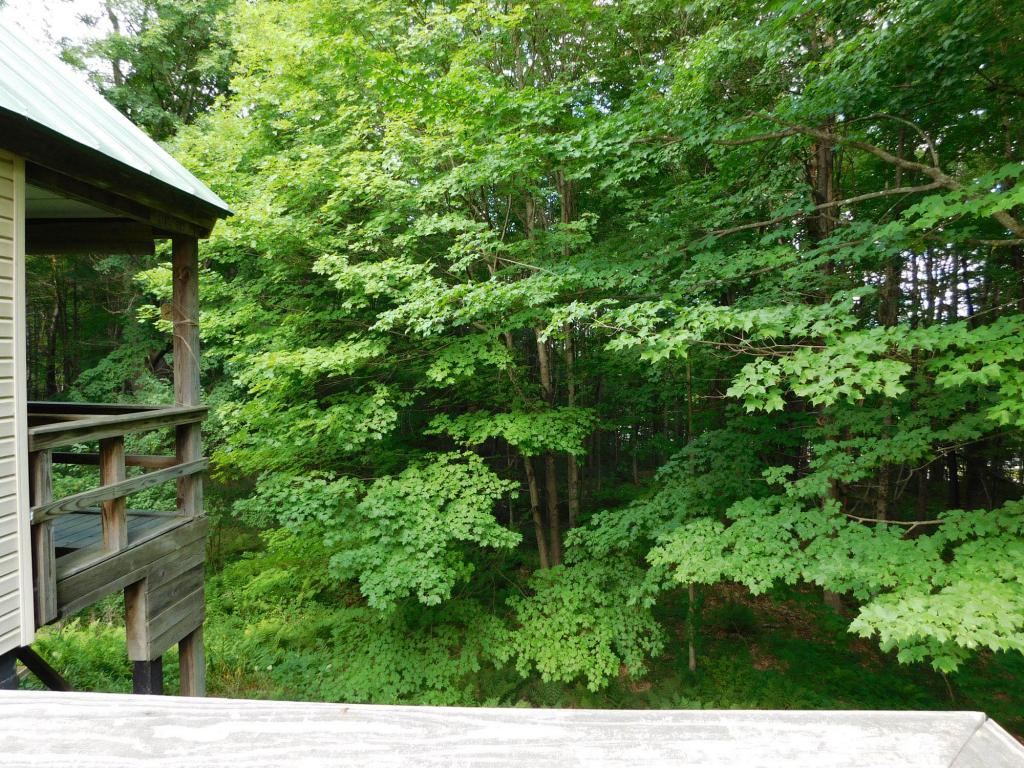 74 Trail Road Putney, VT 05346 - Photo 6 of 14
