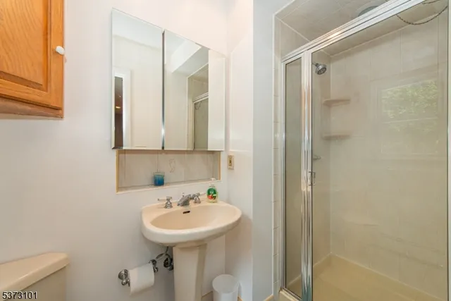 a view of a big yard with plants and large trees