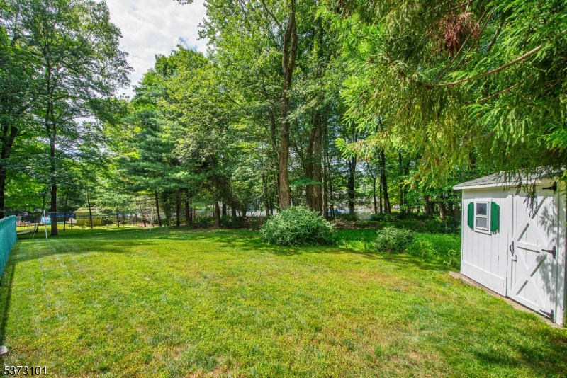 10 Campo Road Randolph, NJ 07869 - Photo 33 of 49 a view of a big yard with plants and large trees