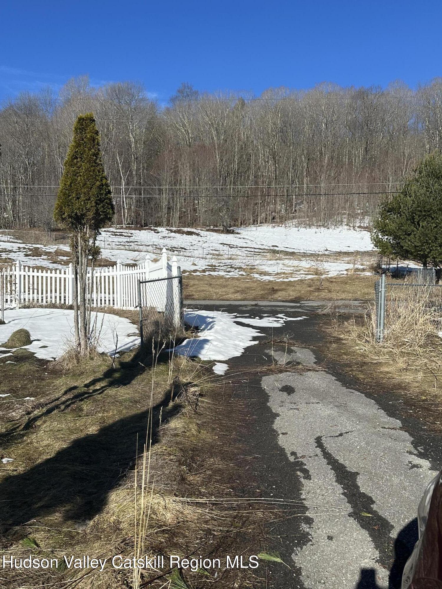 983 Charlotte Valley Road East Worcester, NY 12064 - Photo 5 of 8 a view of a yard with an outdoor space
