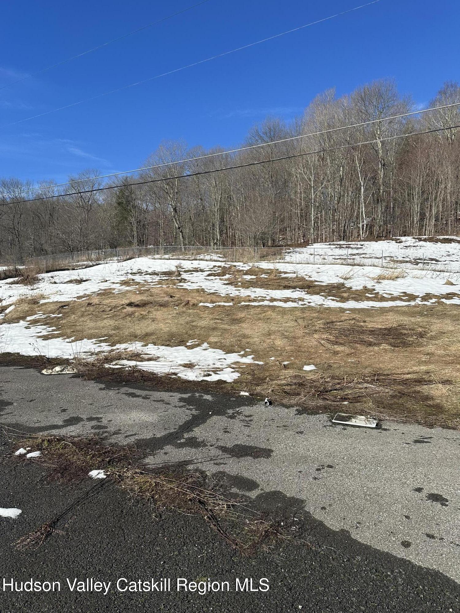 983 Charlotte Valley Road East Worcester, NY 12064 - Photo 7 of 8 a view of a building with a yard