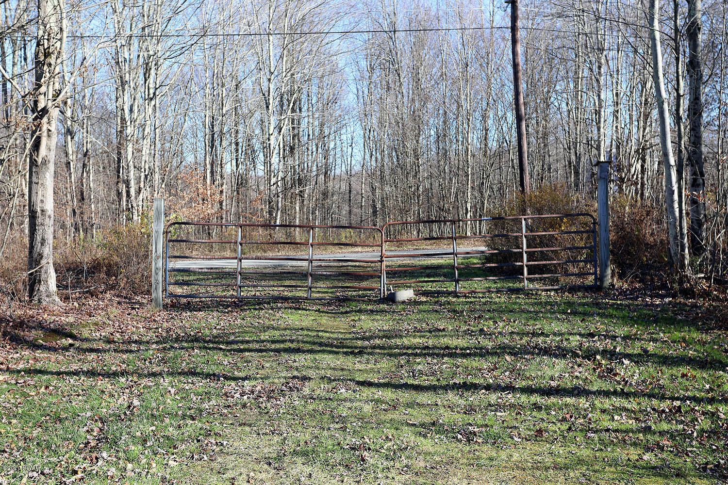 276 Rotten Road Equinunk, PA 18417 - Photo 24 of 45