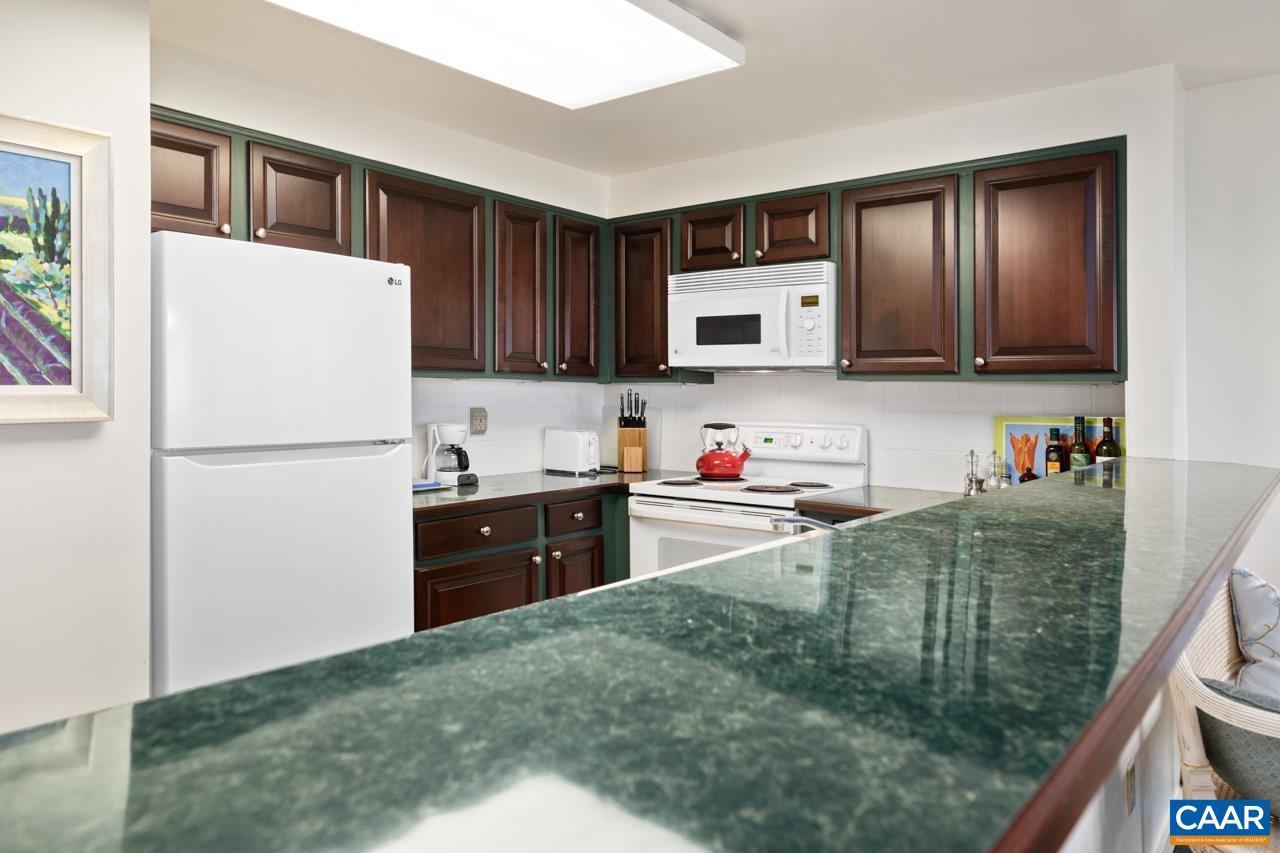 1706 High Ridge Wintergreen, VA 22967 - Photo 11 of 36 a kitchen with granite countertop a refrigerator stove top oven and sink