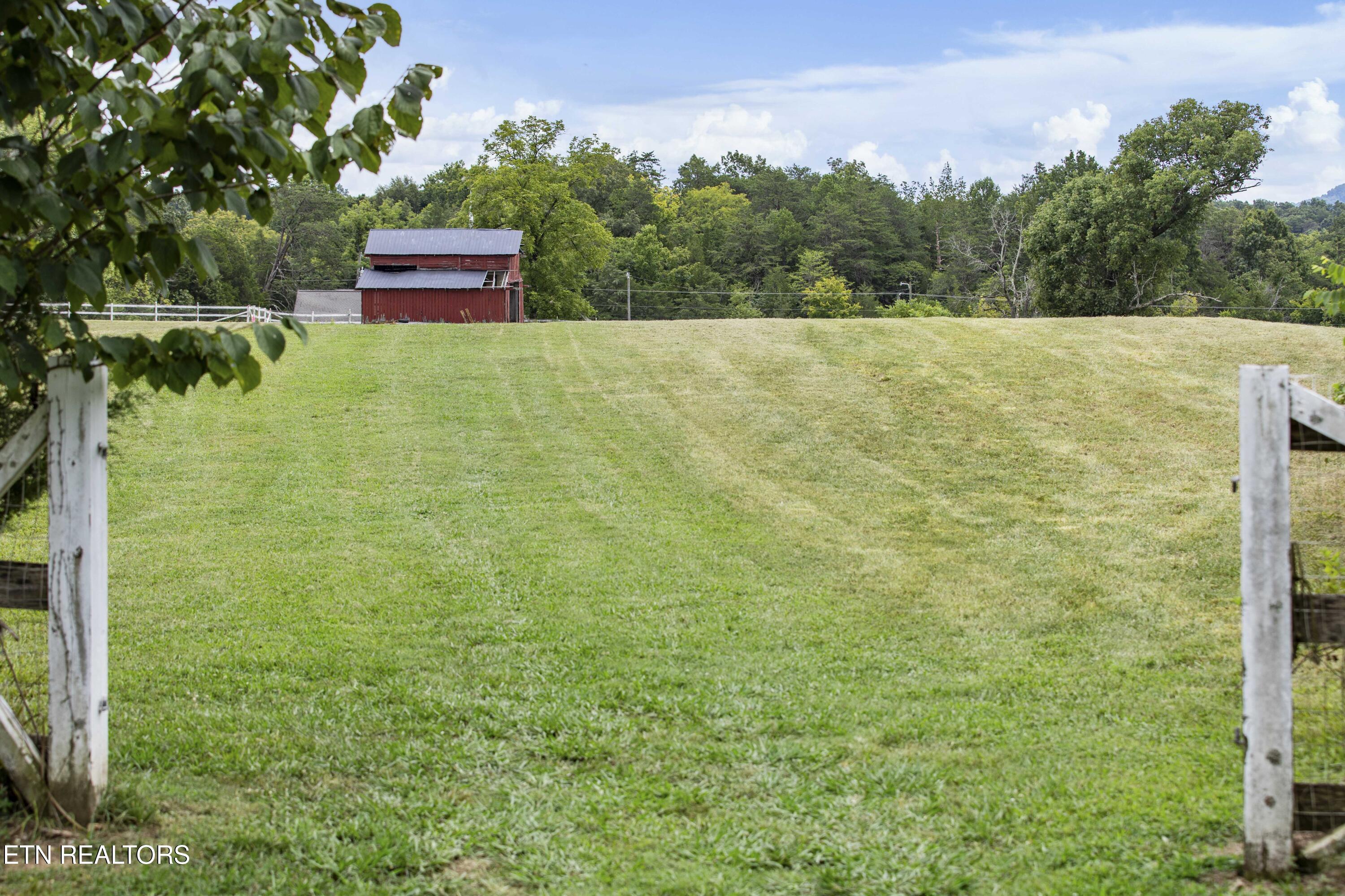 0 Tazewell Pike Luttrell, TN 37779 - Photo 17 of 44 030A6945