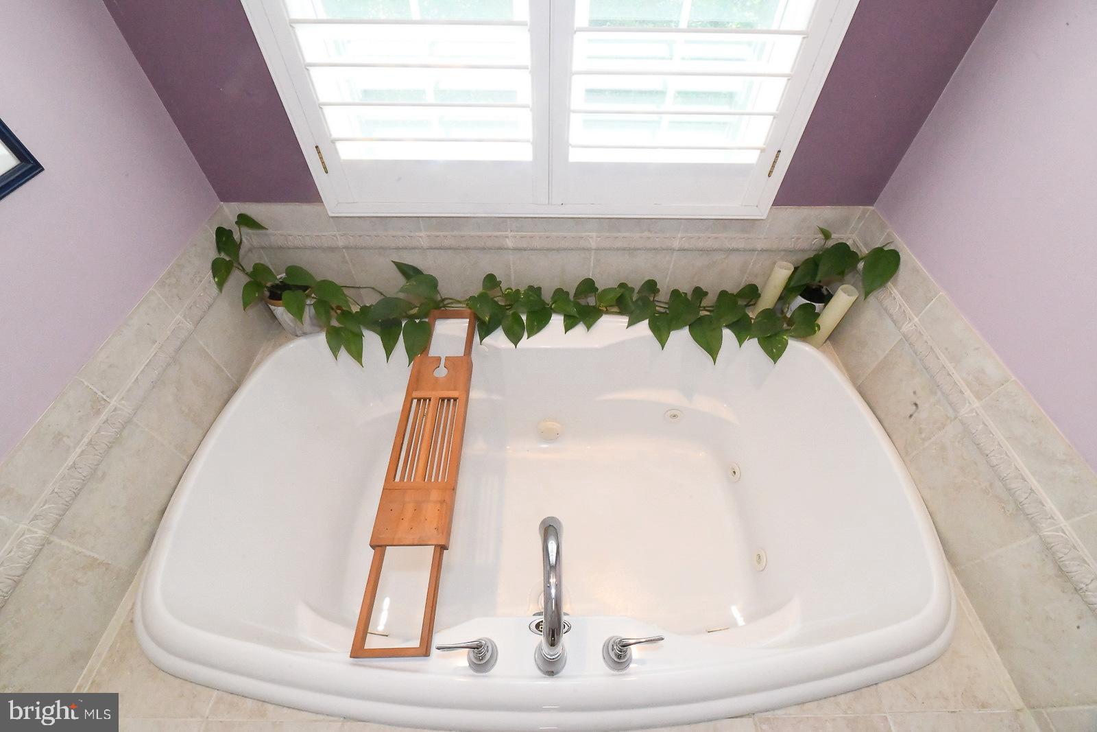 1680 Rudolph Lane Lusby, MD 20657 - Photo 29 of 54 Primary Bathroom