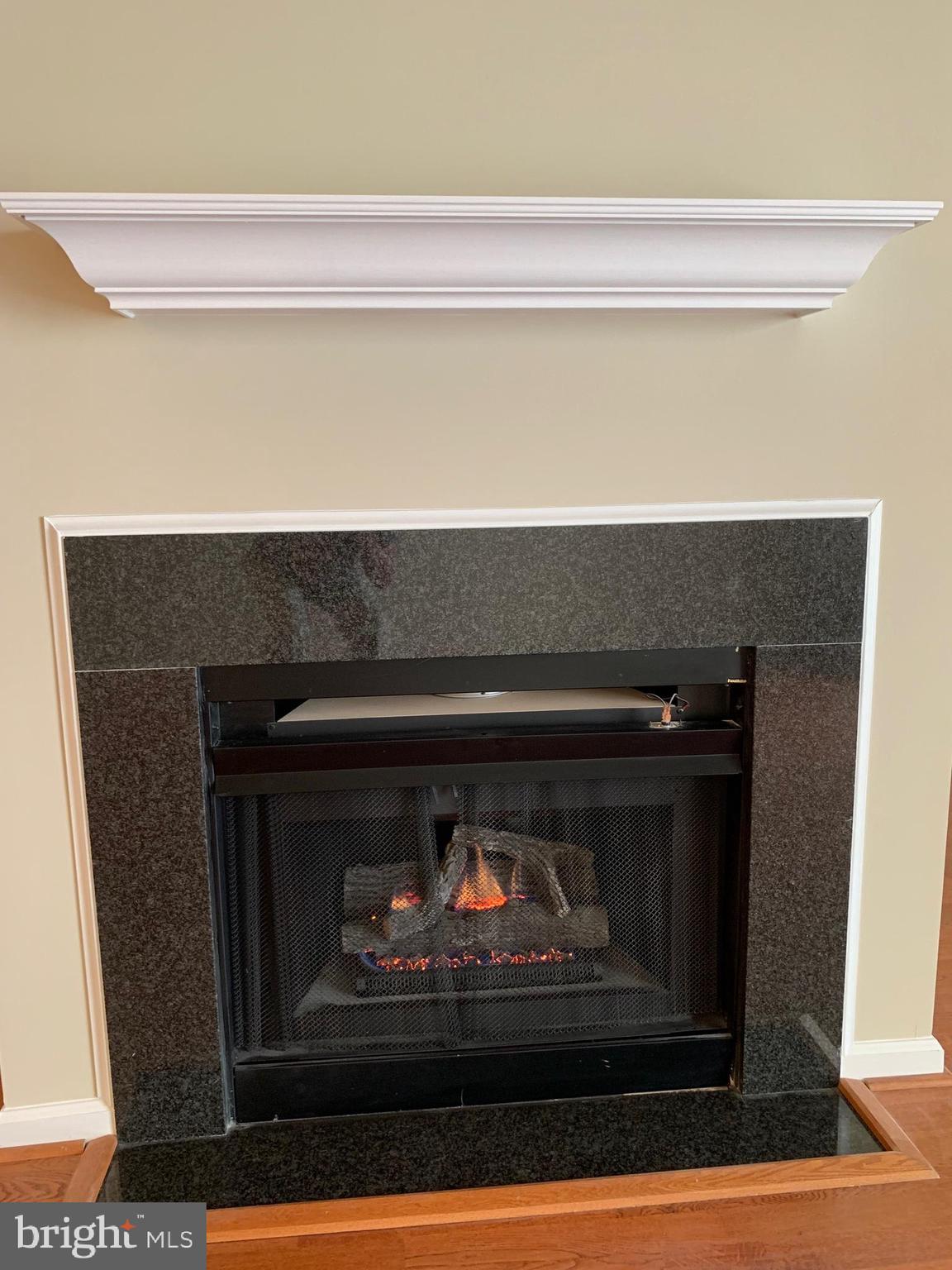 12000 Market Street, Unit 483 Reston, VA 20190 - Photo 31 of 36 Heatilator FP, be toasty at the flip of a switch!