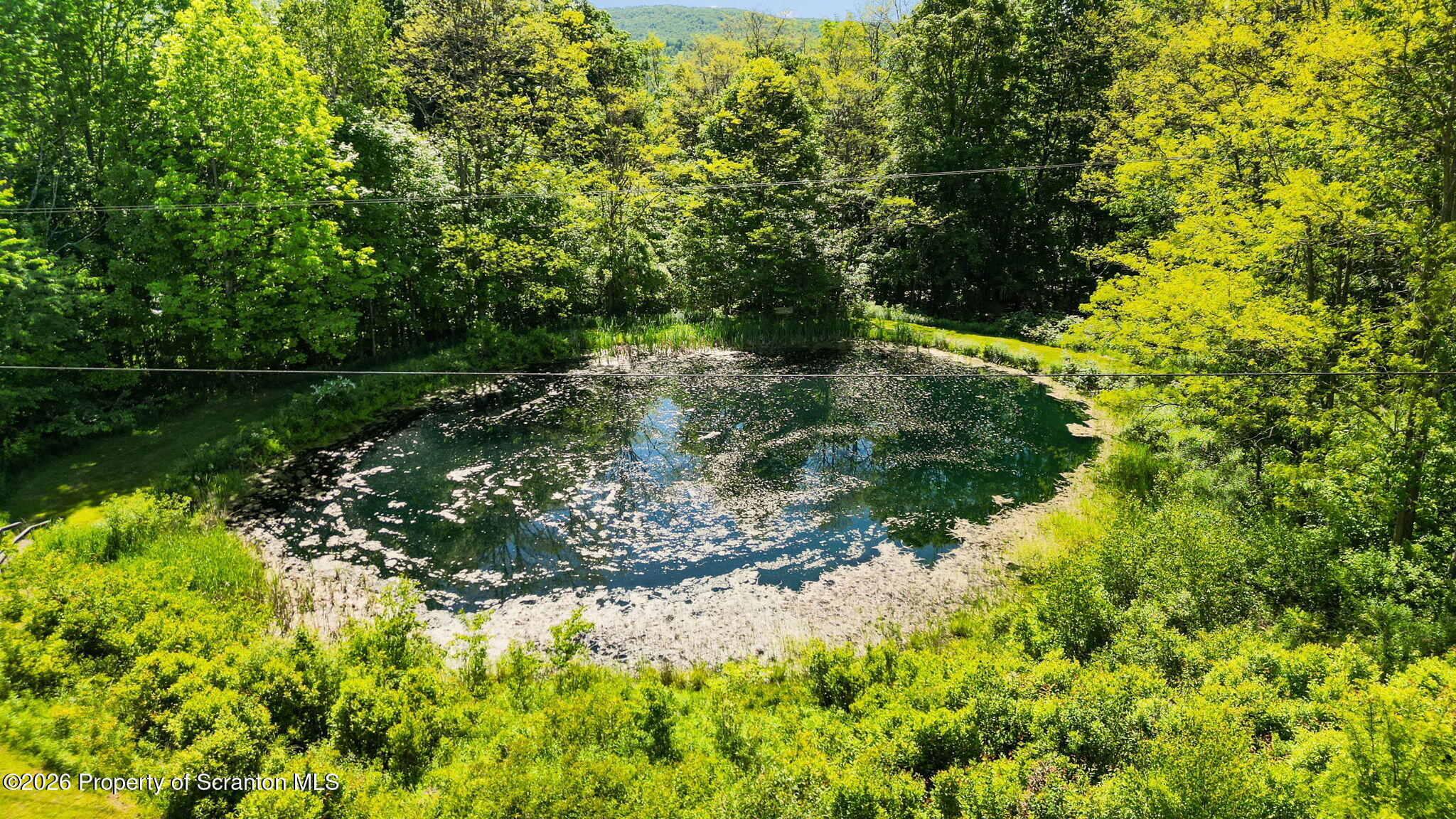 2161 Powers Road Susquehanna, PA 18847 - Photo 5 of 47 Pond