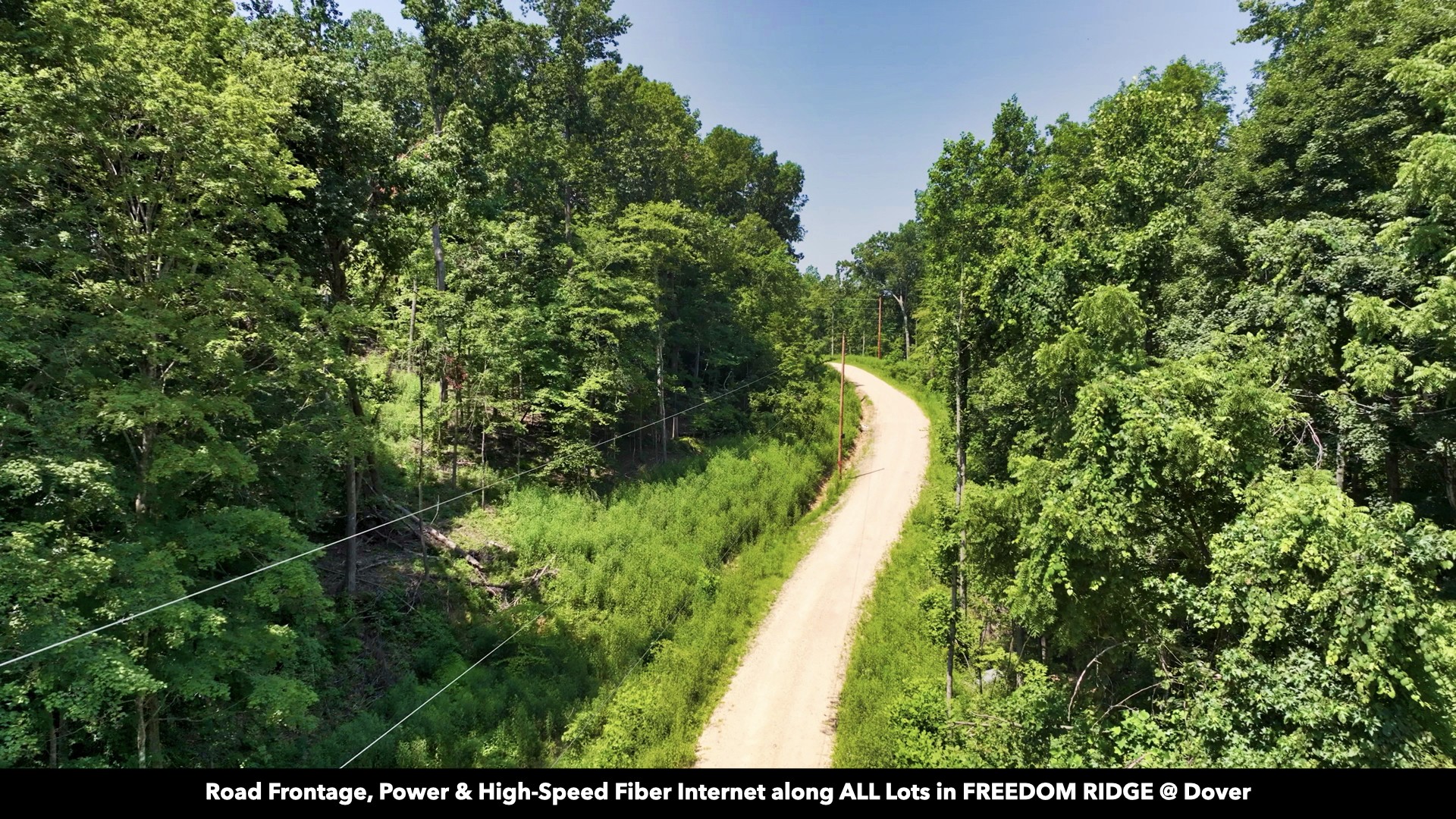 0 Cox Hollow Road Dover, TN 37058 - Photo 17 of 44 a view of a yard with plants
