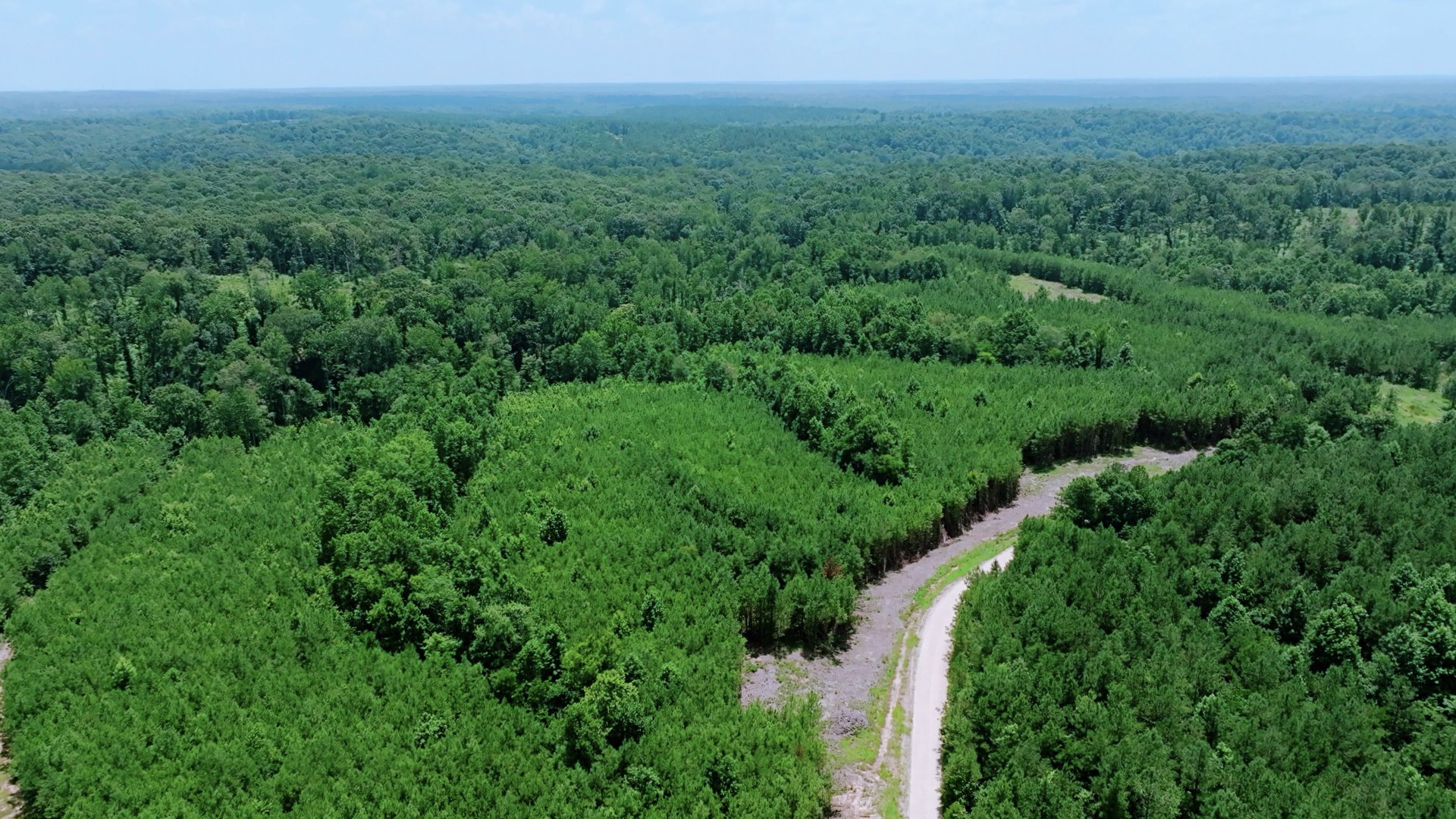 0 Cox Hollow Road Dover, TN 37058 - Photo 10 of 44 a view of a lush green space