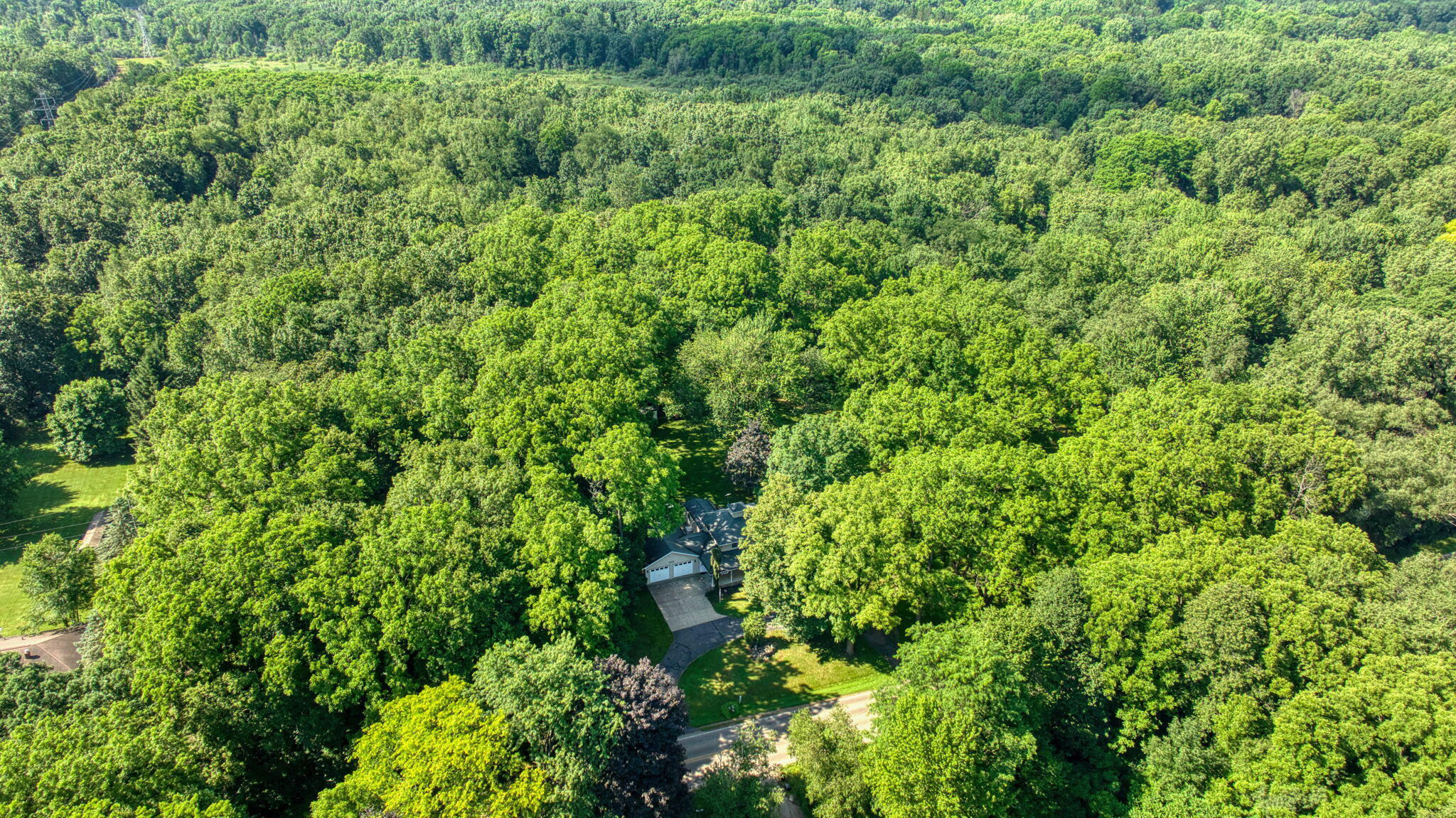 5933 McCain Road Jackson, MI 49201 - Photo 34 of 34 Surrounded by nature!