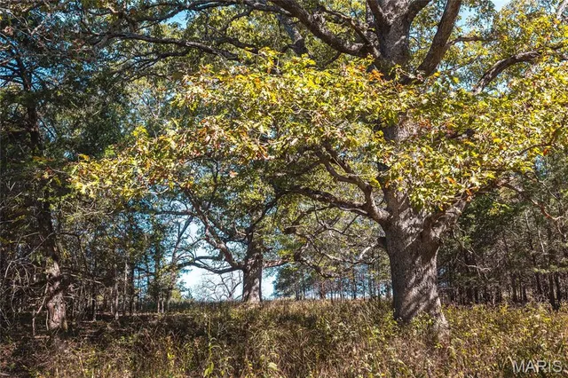 $660,000 | 45694 Highway 72, Salem, MO 65560