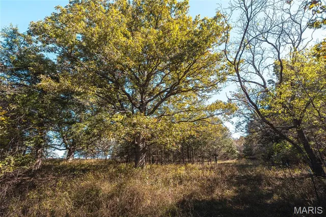 $660,000 | 45694 Highway 72, Salem, MO 65560