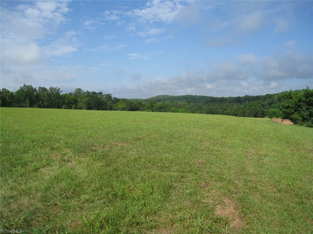 1396 Steele Road Sandy Ridge, NC 27046 - Photo 7 of 14