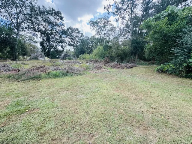 a view of a field with trees in the background