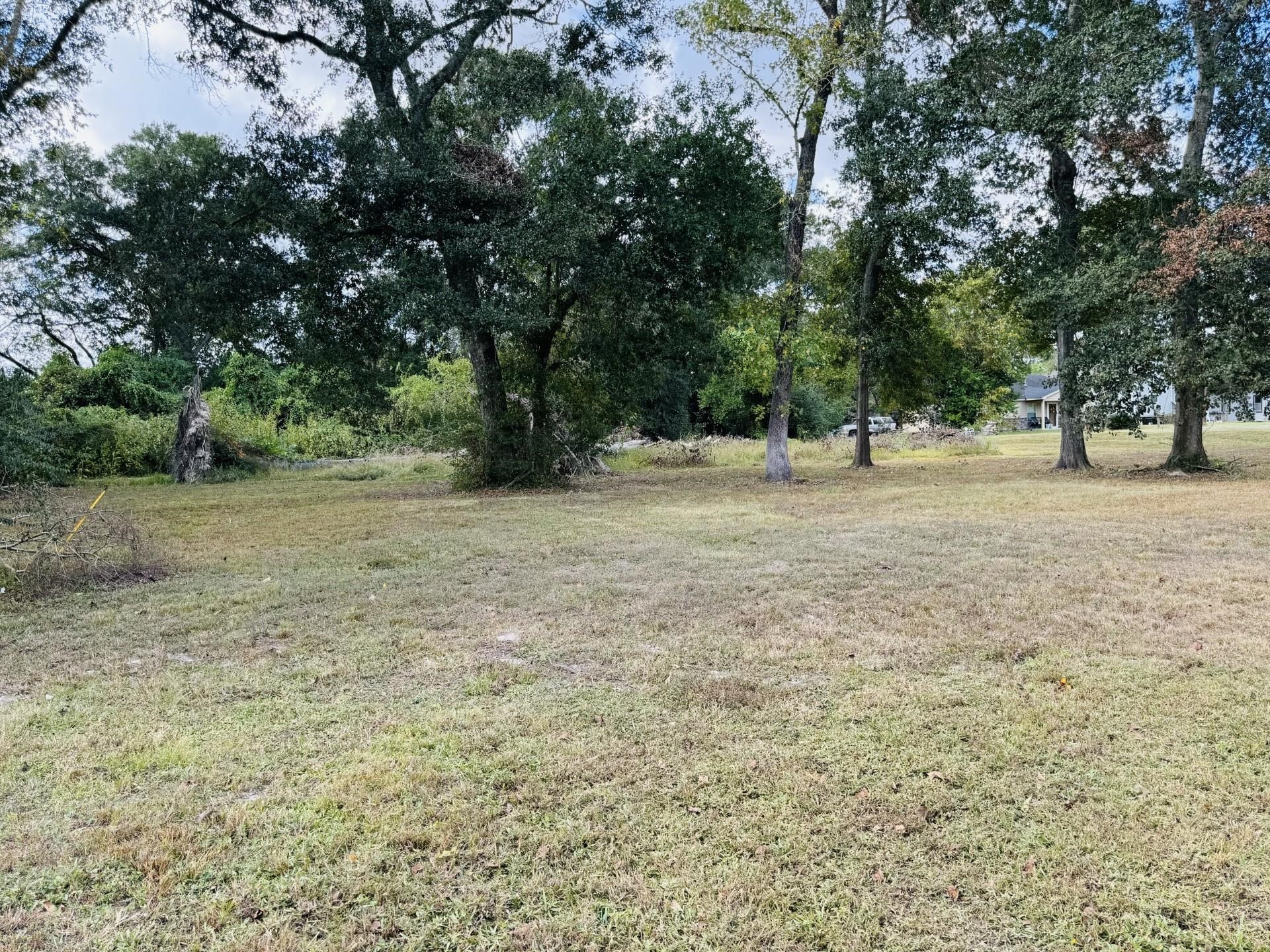 Tbd Tbd Hazel Dayton, TX 77535 - Photo 5 of 5 a view of dirt field with trees in the background
