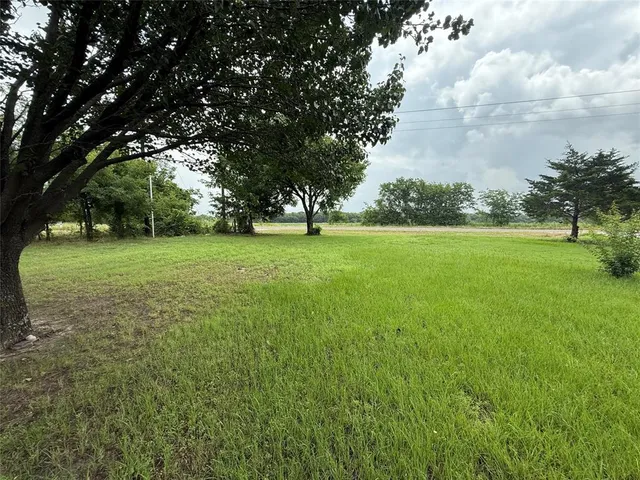 a view of a grassy field with trees