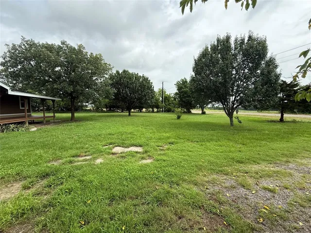 a view of a big yard with a large trees