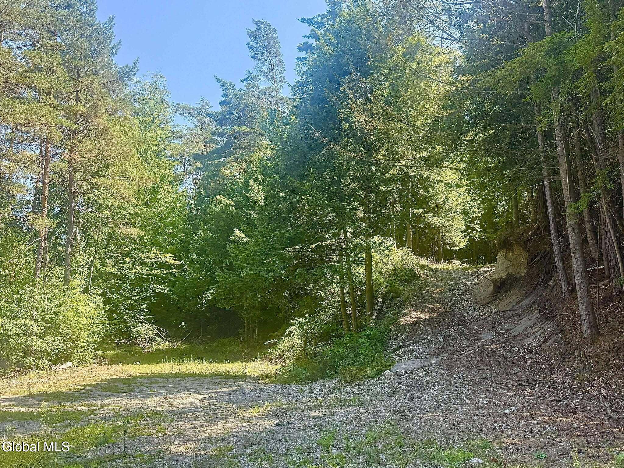 2586 Hoffman Road Schroon, NY 12870 - Photo 2 of 18 2586 Hoffman!