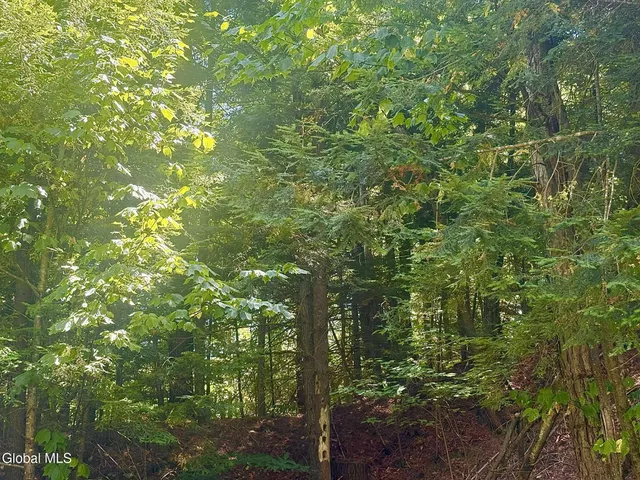 $239,000 | 2586 Hoffman Road, Schroon, NY 12870