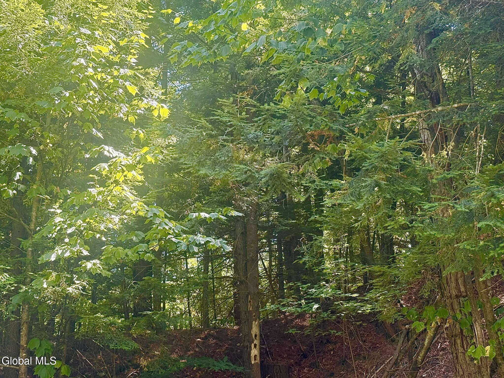 2586 Hoffman Road Schroon, NY 12870 - Photo 3 of 18 Hoffman Rd