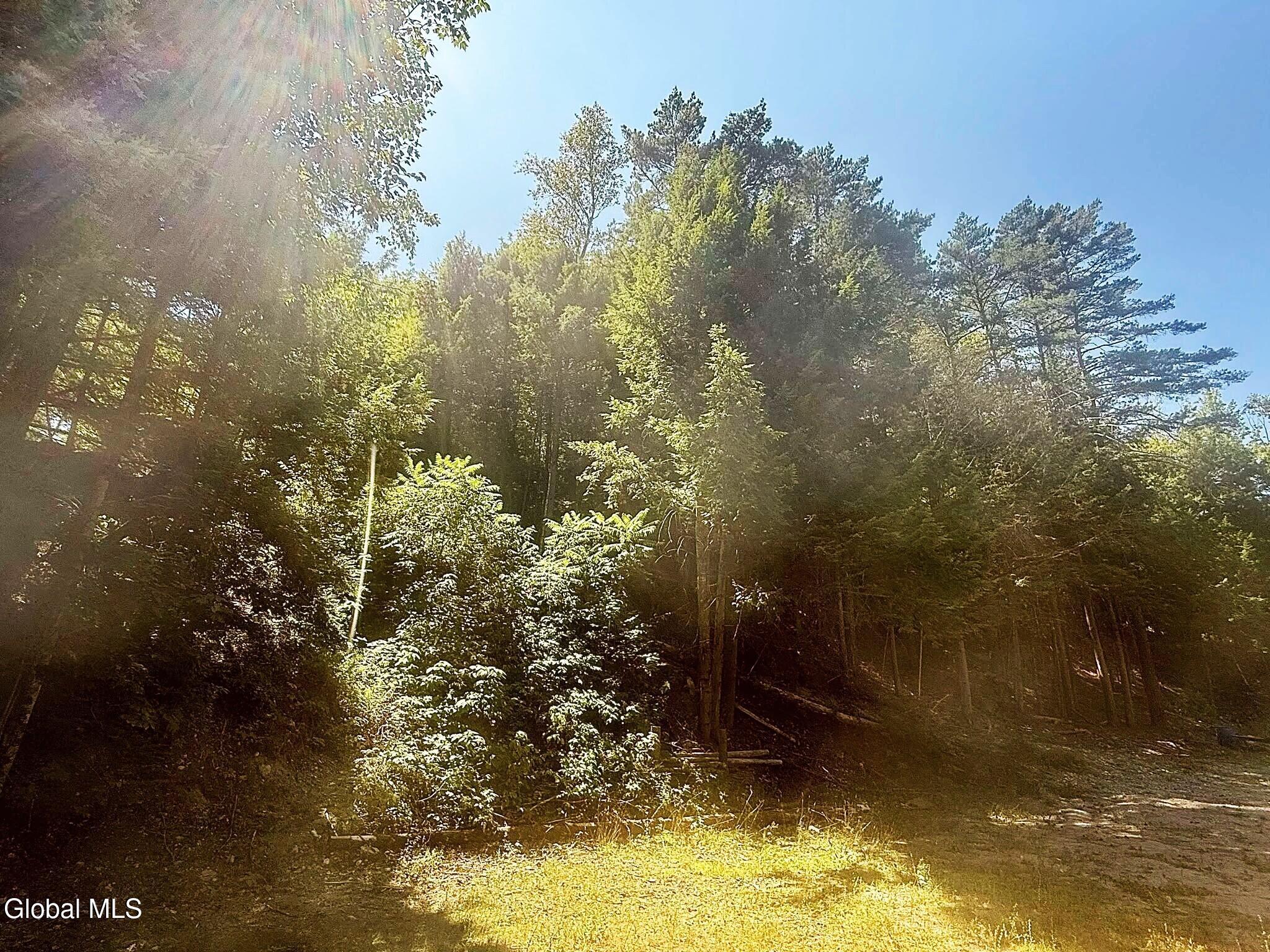 2586 Hoffman Road Schroon, NY 12870 - Photo 5 of 18 529683188_770995172194490_49197894636807