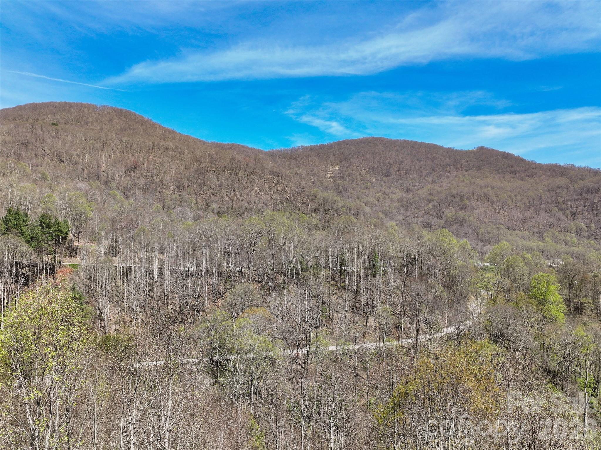 4823 Max Patch Road Clyde, NC 28721 - Photo 14 of 32 a view of mountain