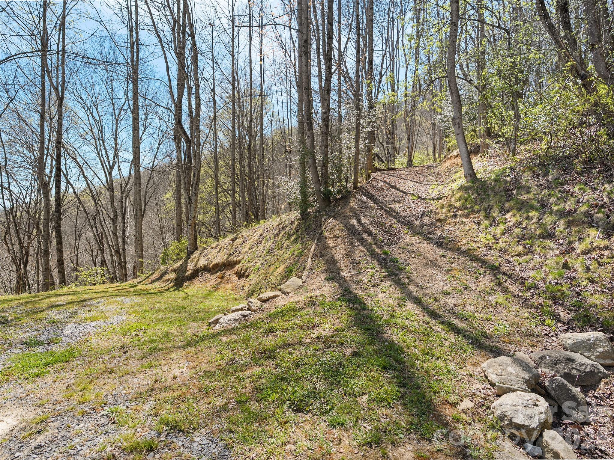 4823 Max Patch Road Clyde, NC 28721 - Photo 31 of 32 a backyard of a house with a trees