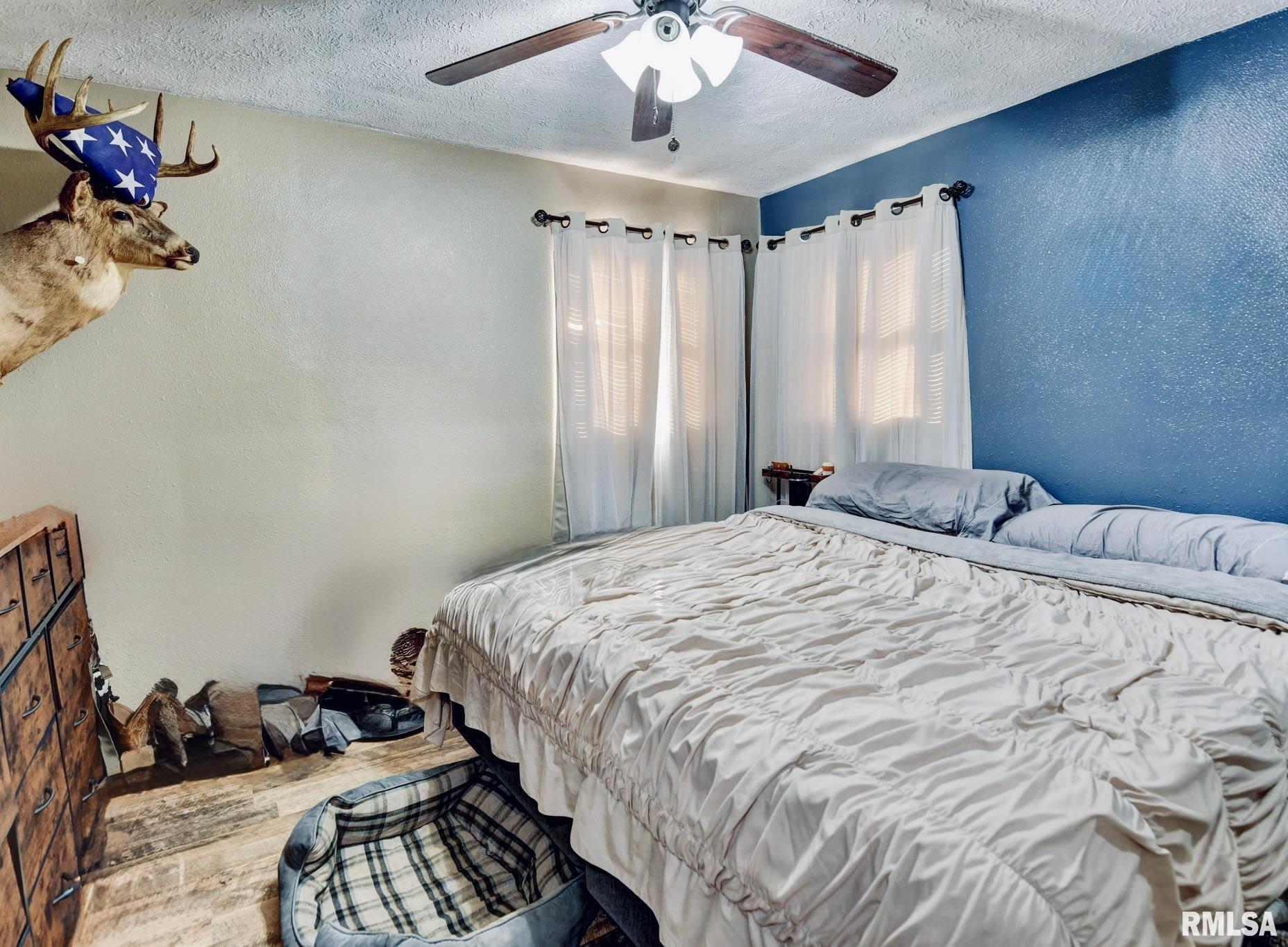 701 West Prairie Street Taylorville, IL 62568 - Photo 14 of 19