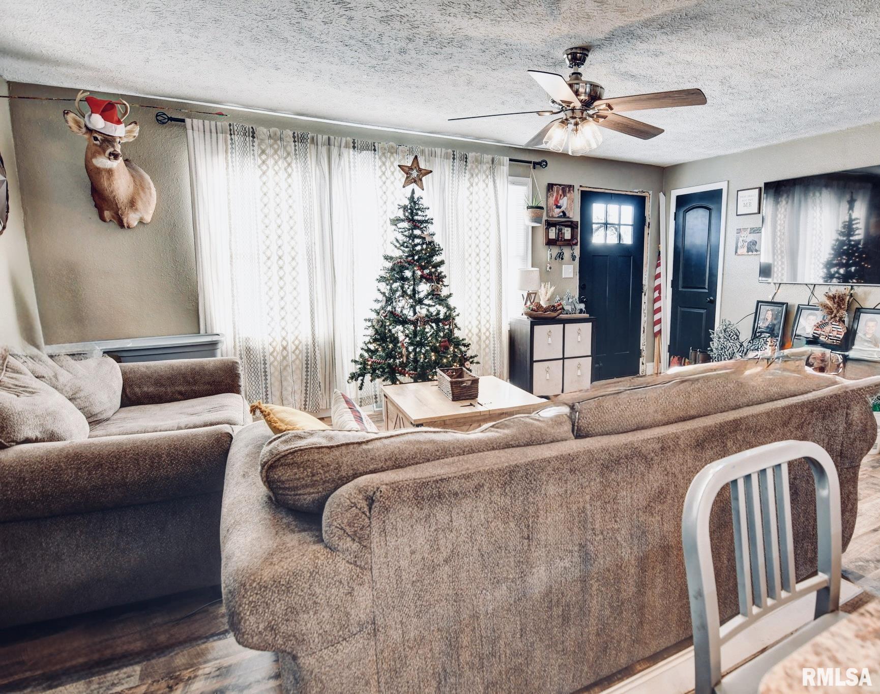 701 West Prairie Street Taylorville, IL 62568 - Photo 6 of 19