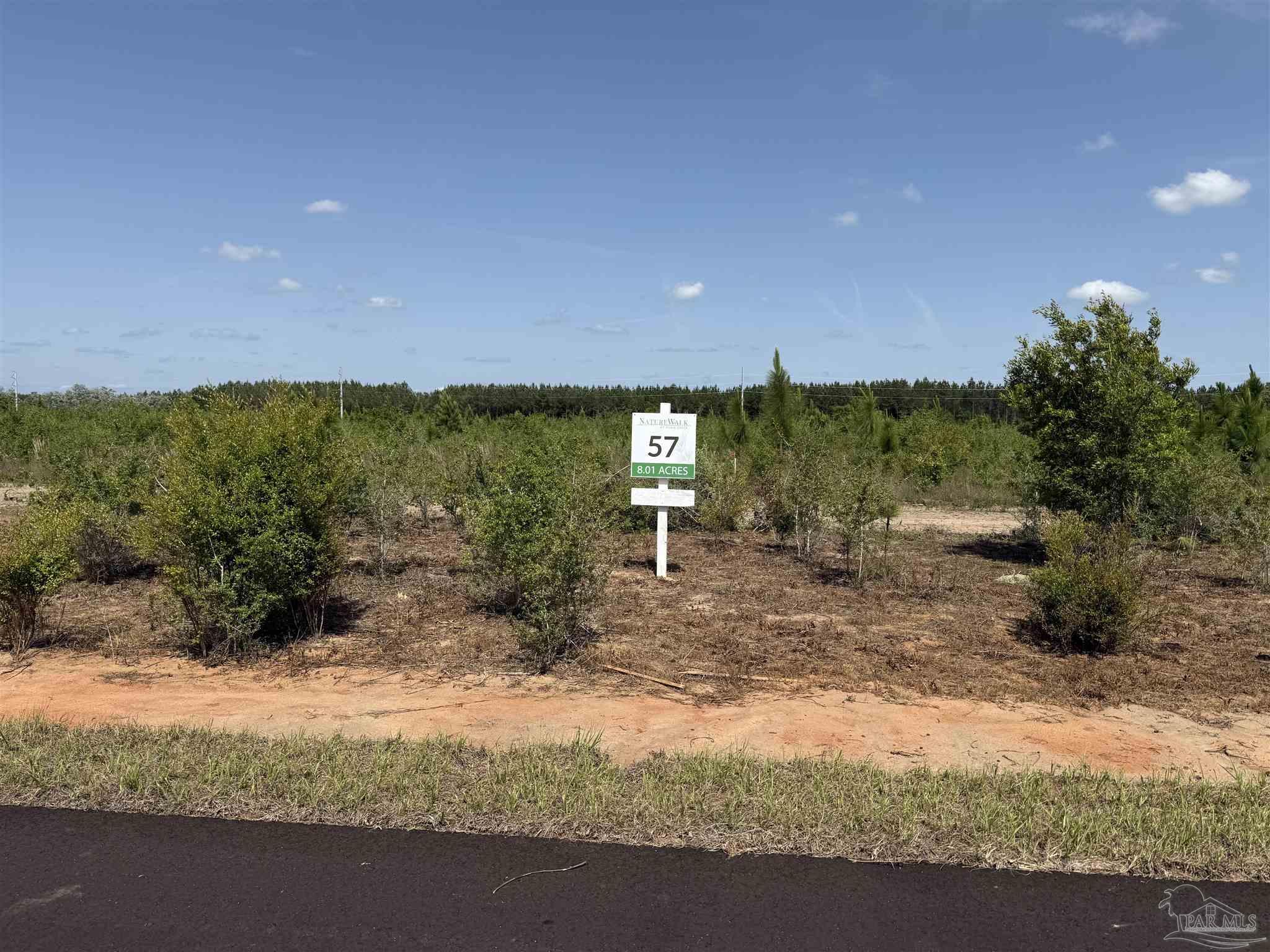 Lot 57 South Timber Lane Pace, FL 32571 - Photo 14 of 36