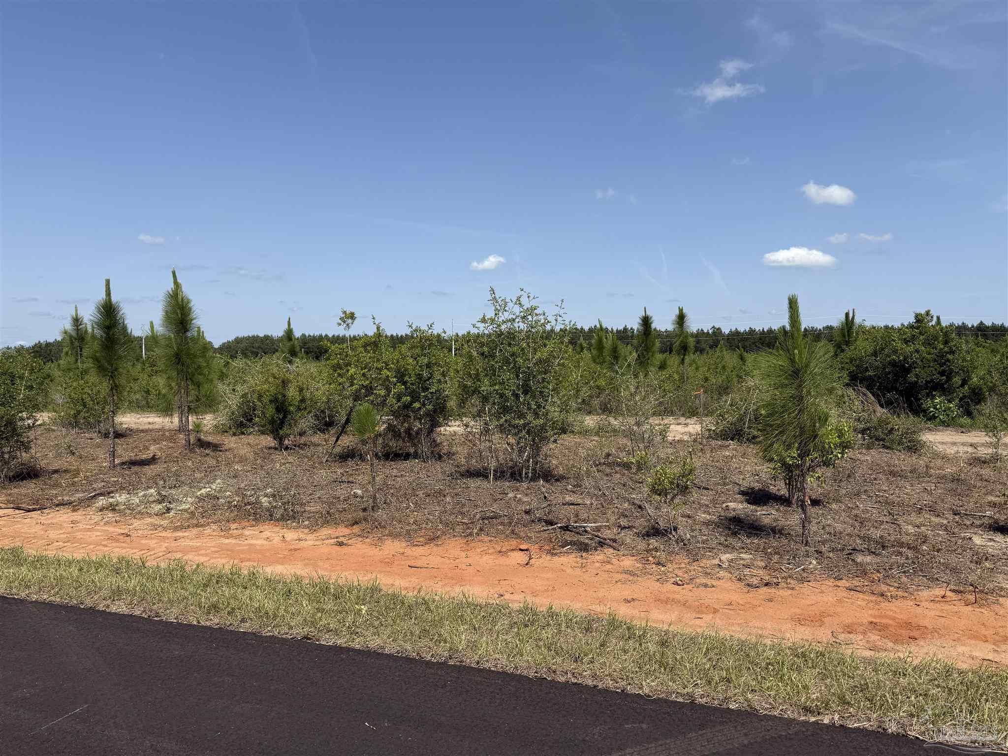 Lot 57 South Timber Lane Pace, FL 32571 - Photo 15 of 36