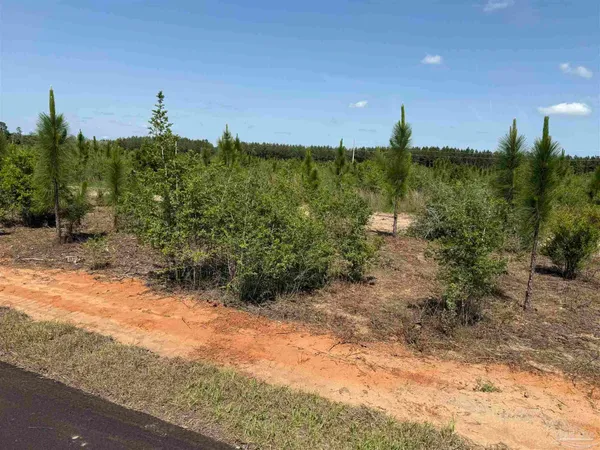 $245,000 | Lot 57 South Timber Lane, Pace, FL 32571