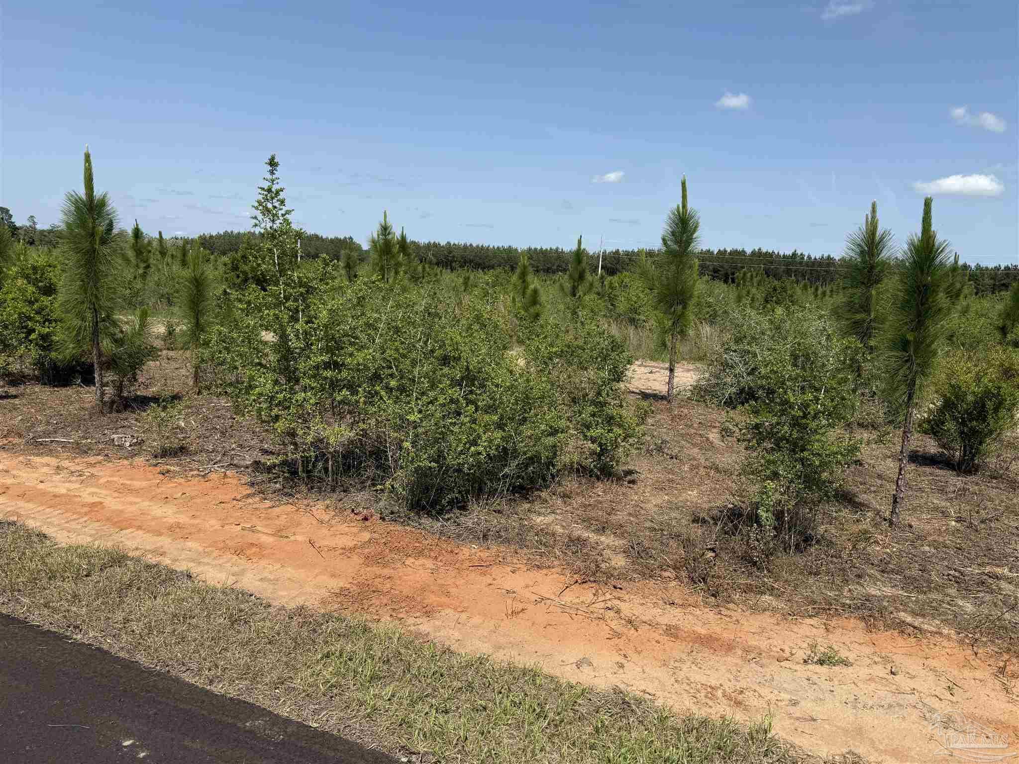 Lot 57 South Timber Lane Pace, FL 32571 - Photo 16 of 36