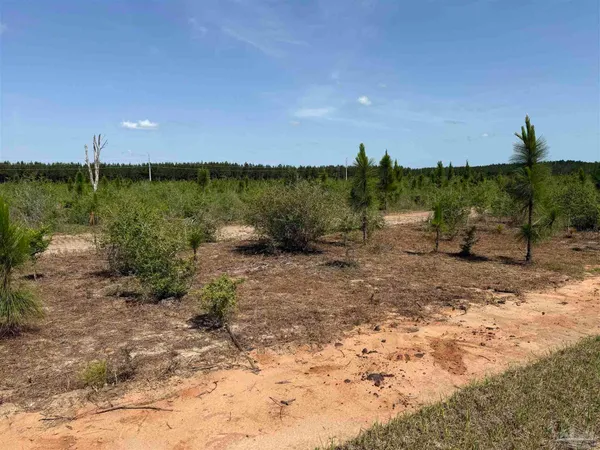 $245,000 | Lot 57 South Timber Lane, Pace, FL 32571