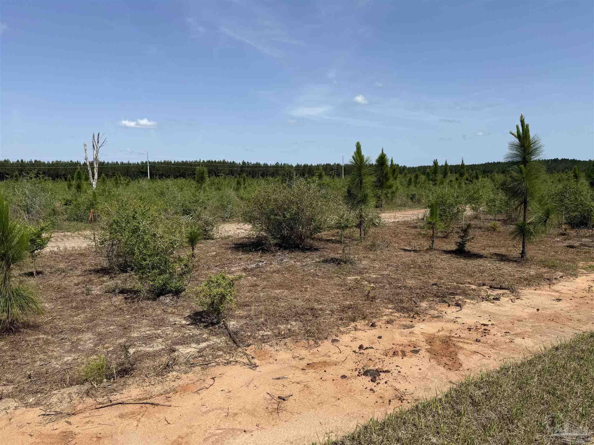 Lot 57 South Timber Lane Pace, FL 32571 - Photo 18 of 36