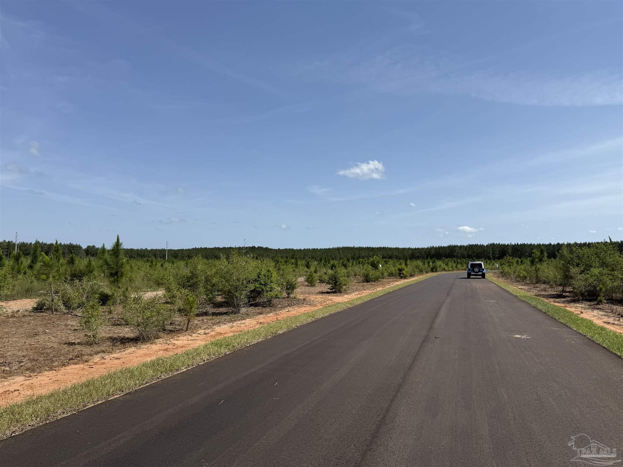 Lot 57 South Timber Lane Pace, FL 32571 - Photo 19 of 36