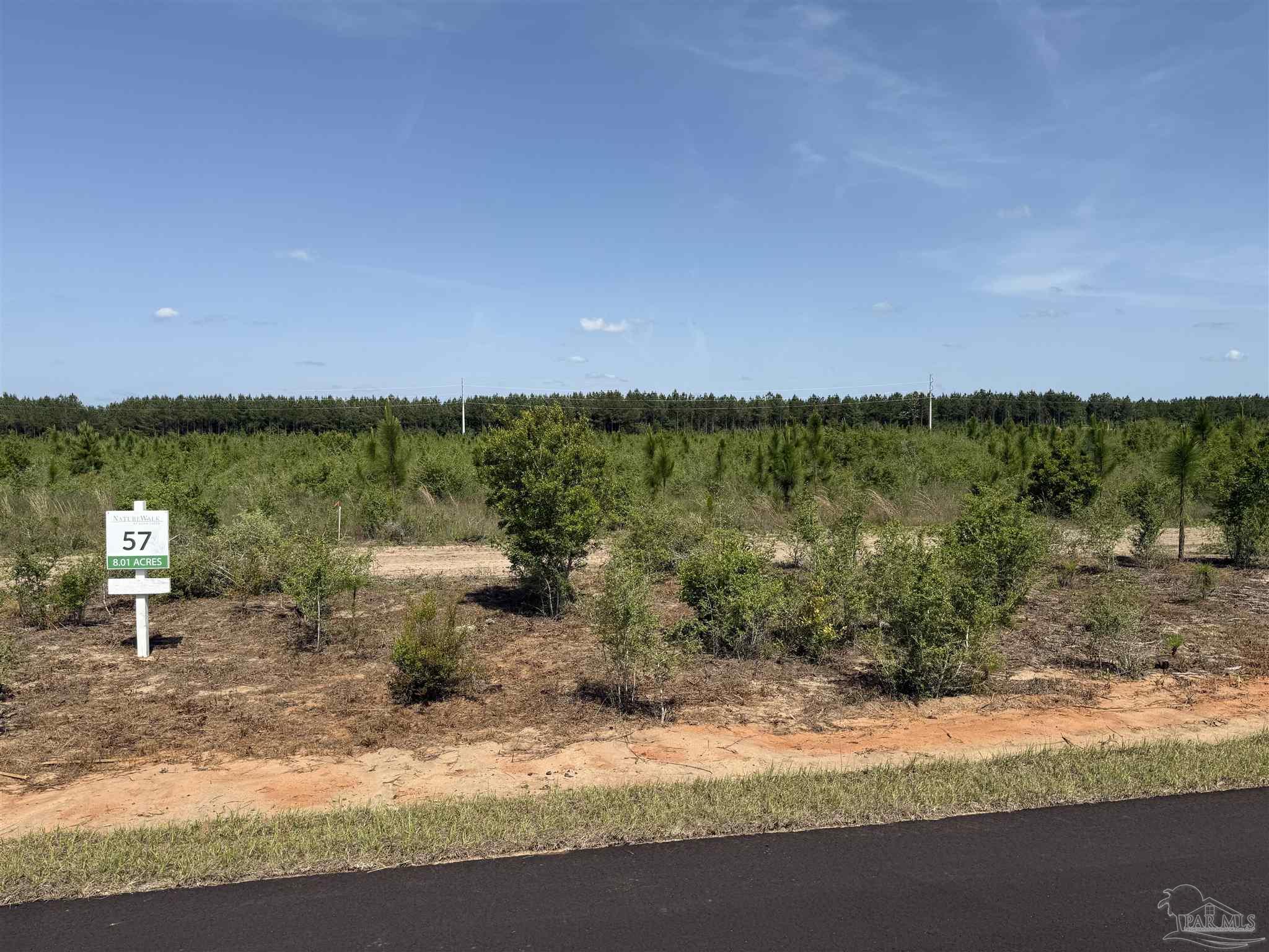 Lot 57 South Timber Lane Pace, FL 32571 - Photo 20 of 36