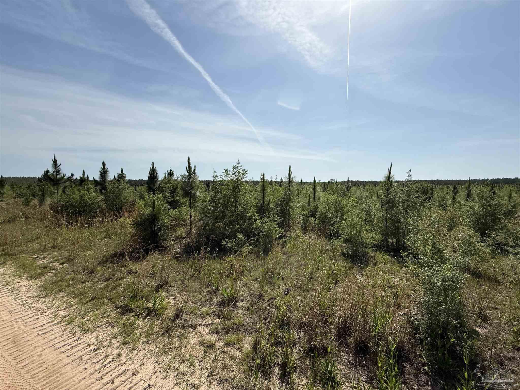 Lot 57 South Timber Lane Pace, FL 32571 - Photo 24 of 36