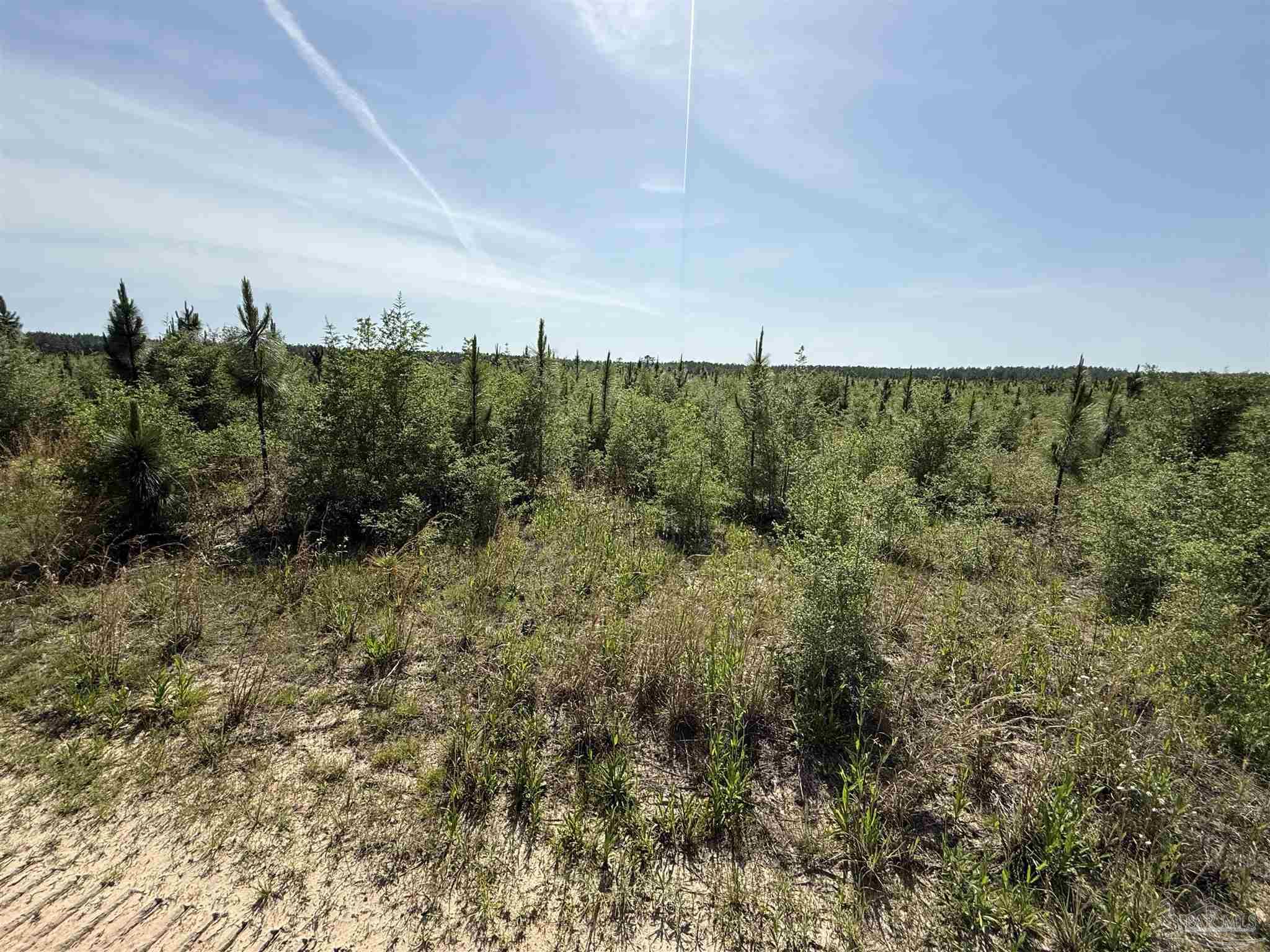 Lot 57 South Timber Lane Pace, FL 32571 - Photo 26 of 36