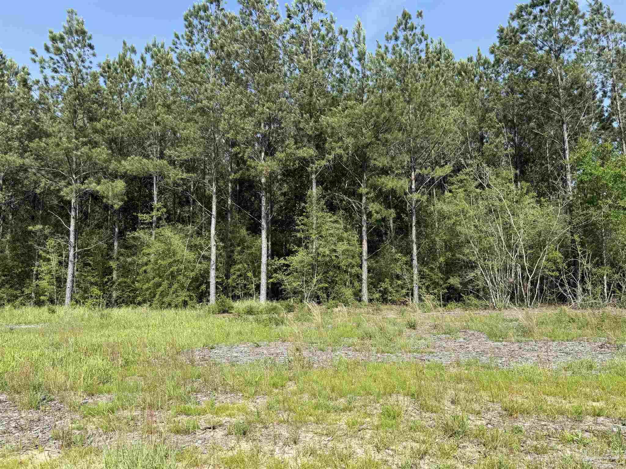 Lot 57 South Timber Lane Pace, FL 32571 - Photo 27 of 36