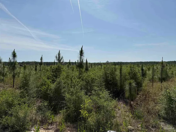 $245,000 | Lot 57 South Timber Lane, Pace, FL 32571