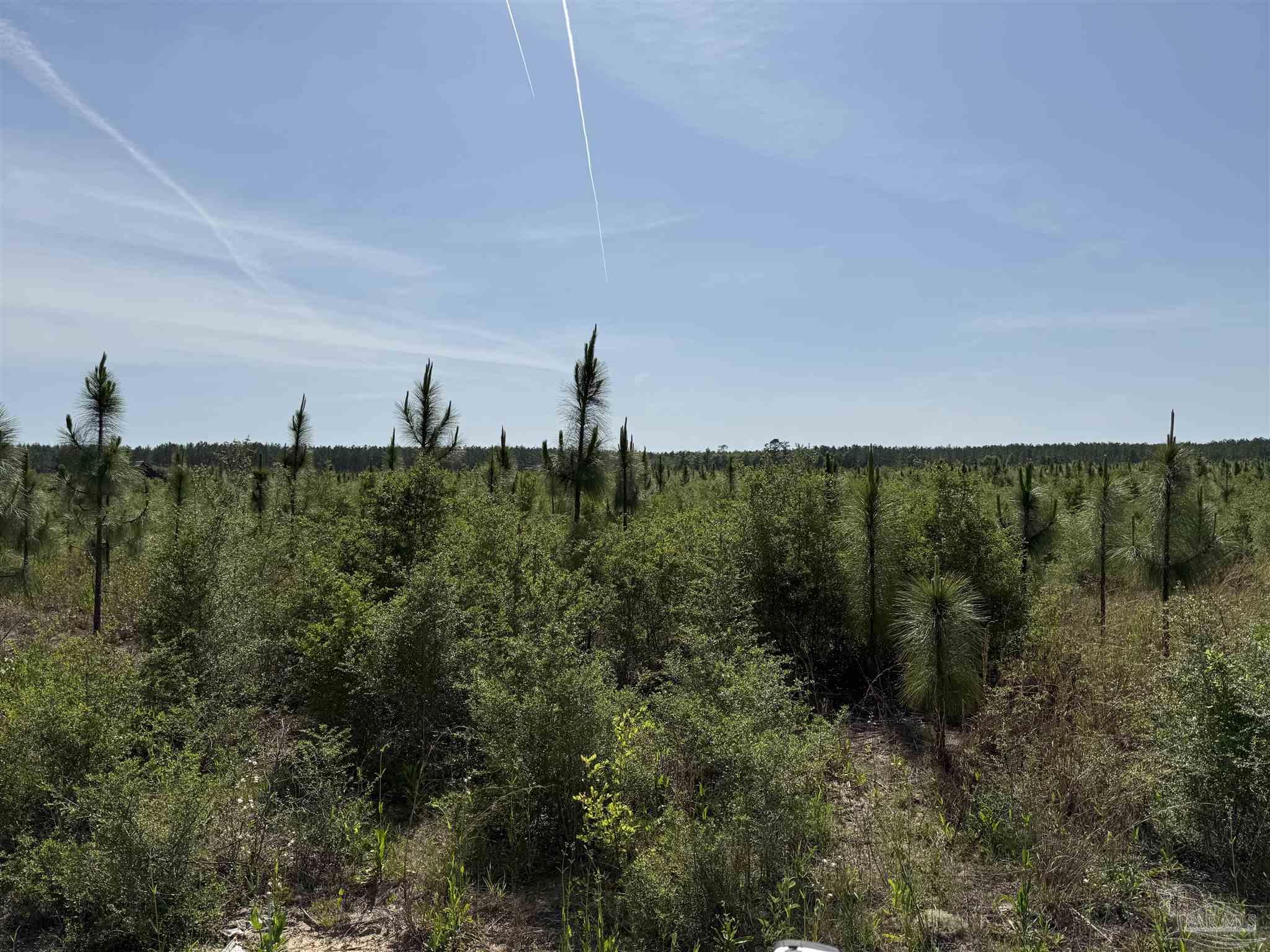 Lot 57 South Timber Lane Pace, FL 32571 - Photo 28 of 36