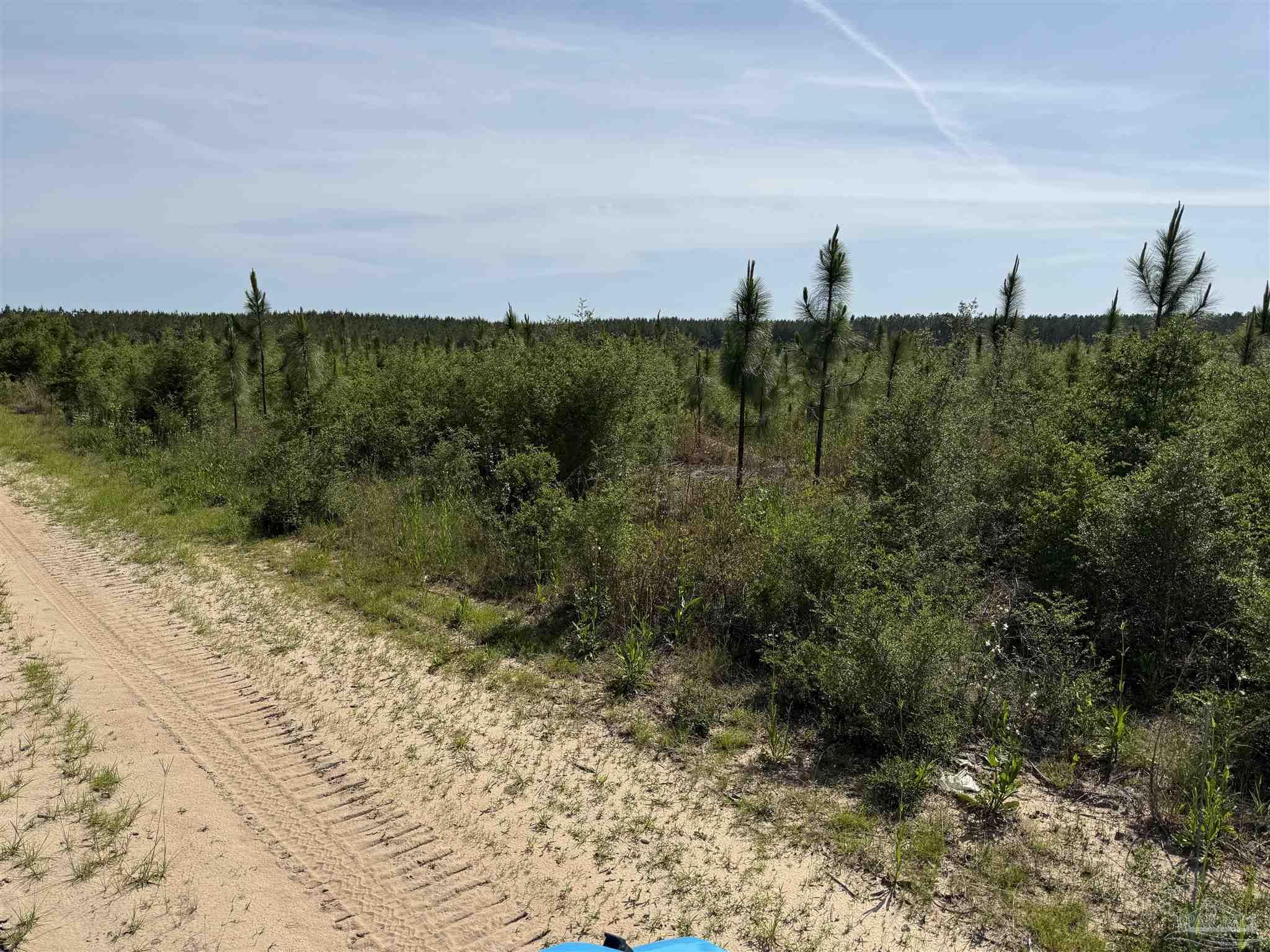 Lot 57 South Timber Lane Pace, FL 32571 - Photo 29 of 36