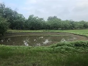 a view of outdoor space with green field and trees all around