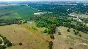 a view of a yard with plants and large tree