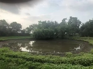 a view of a lake in between two of trees