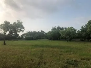 a view of field with tall trees